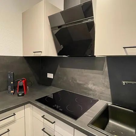 Haus 19 Apartment Friesenheim (Baden-Wurttemberg)